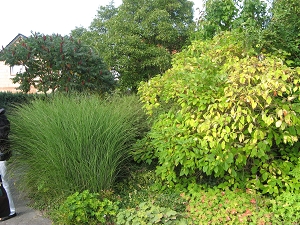 Wiederhold Garten Langerwisch Foto Brandt